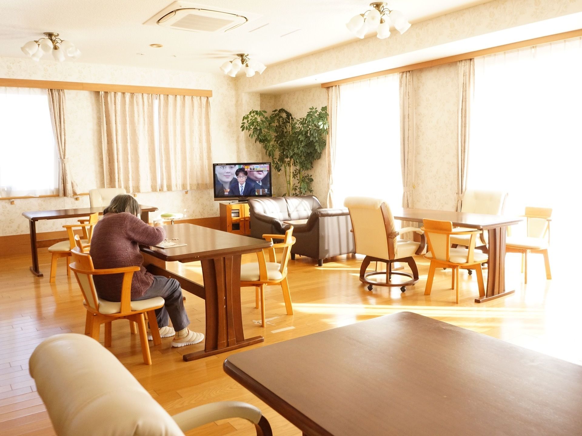 部屋の角にテレビと大きな観葉植物が置かれている。テレビの前には革張りのソファがあり、手前にはダイニングテーブルと椅子が置かれている。