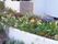 施設内の花壇には、色とりどりの花々が咲き誇っている。建物の白い外壁とマッチし緑とカラフルな花が映えている。