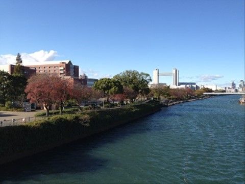 施設の近くを流れる堀川は、川幅も広く、良い眺めである。桜の木や国際会議場などがあり、気持ちよくお散歩することができる。