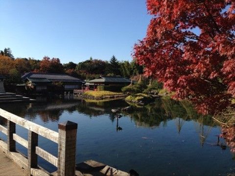 大きな池に木の橋がかかり、和風の建物が建っている。季節を感じられる庭園は、リフレッシュに最適である。