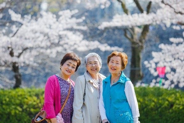 桜の木と笑顔の三名様