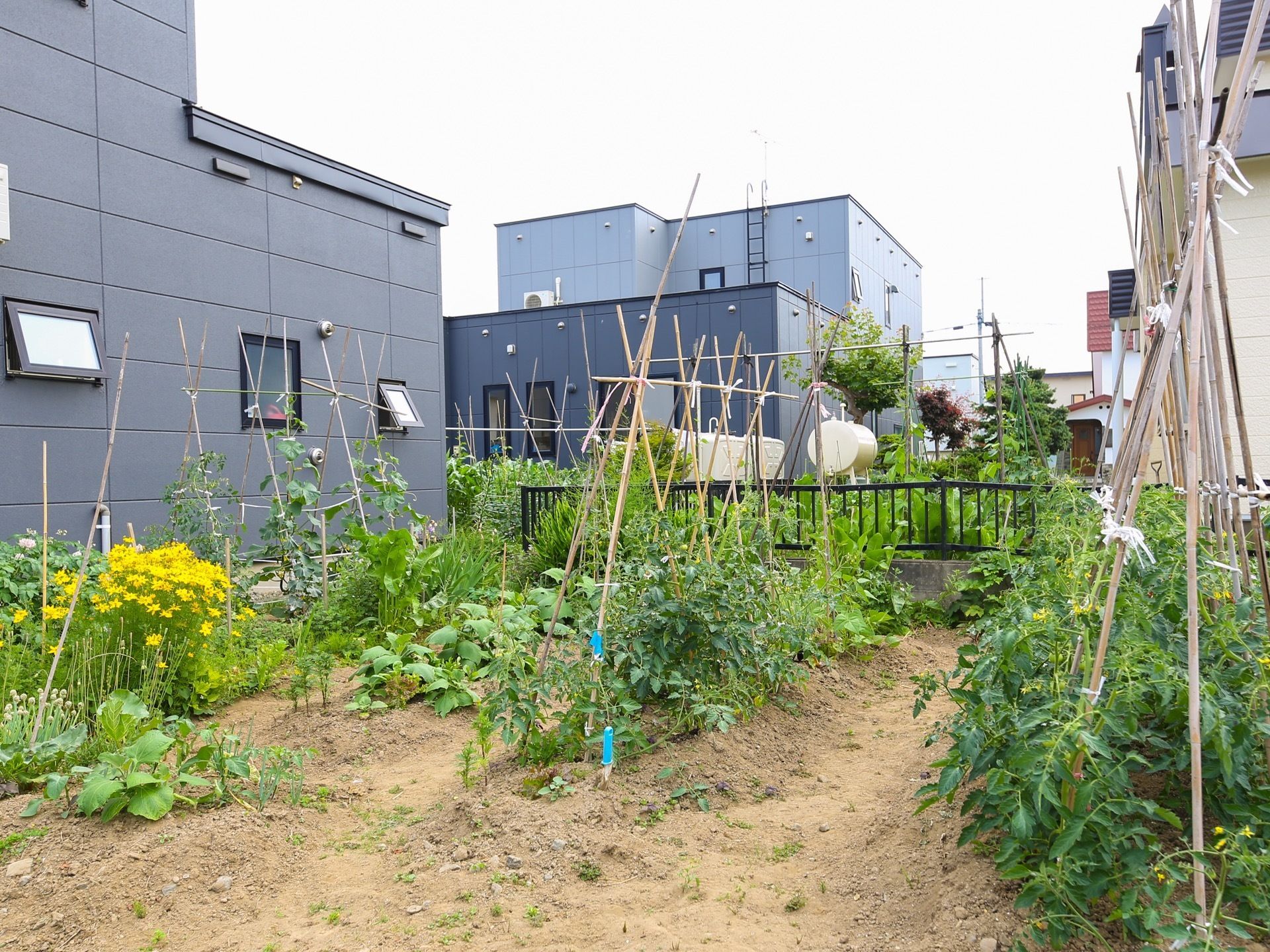 施設の敷地内には、広い家庭菜園が設けられており、数種類の旬の野菜や花が植えられている。周囲には、建物が建っている。