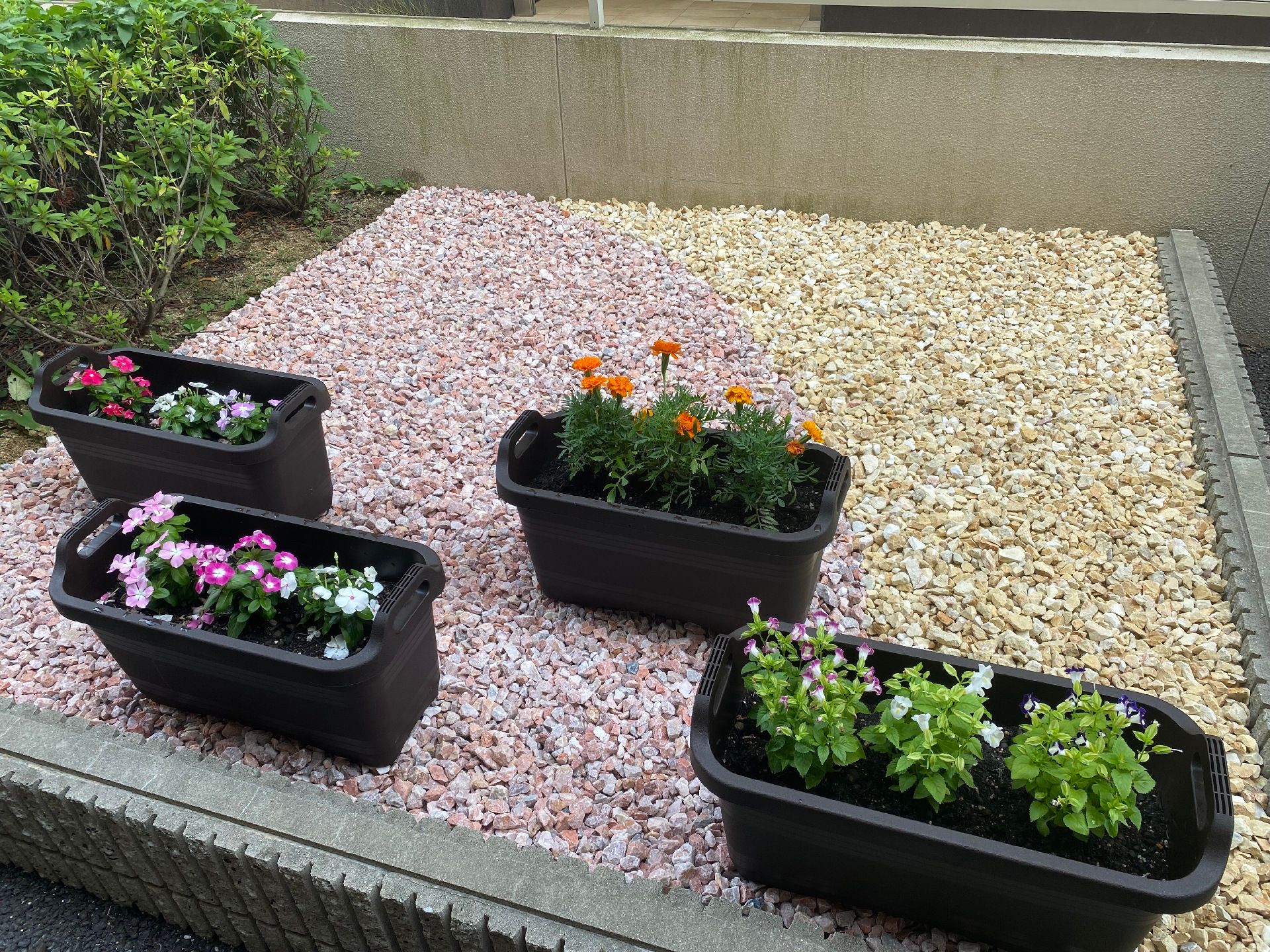 中垣の上に花がある。四種類ほどの種類できれいだ