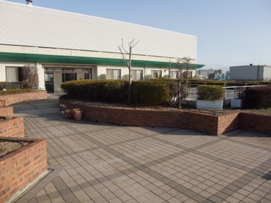 屋上
