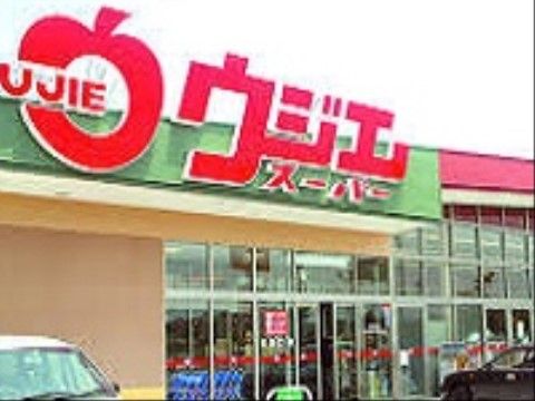 近隣の大型スーパーマーケット。広い駐車場がついている。品揃えが良く、食材を購入して料理することも可能である。