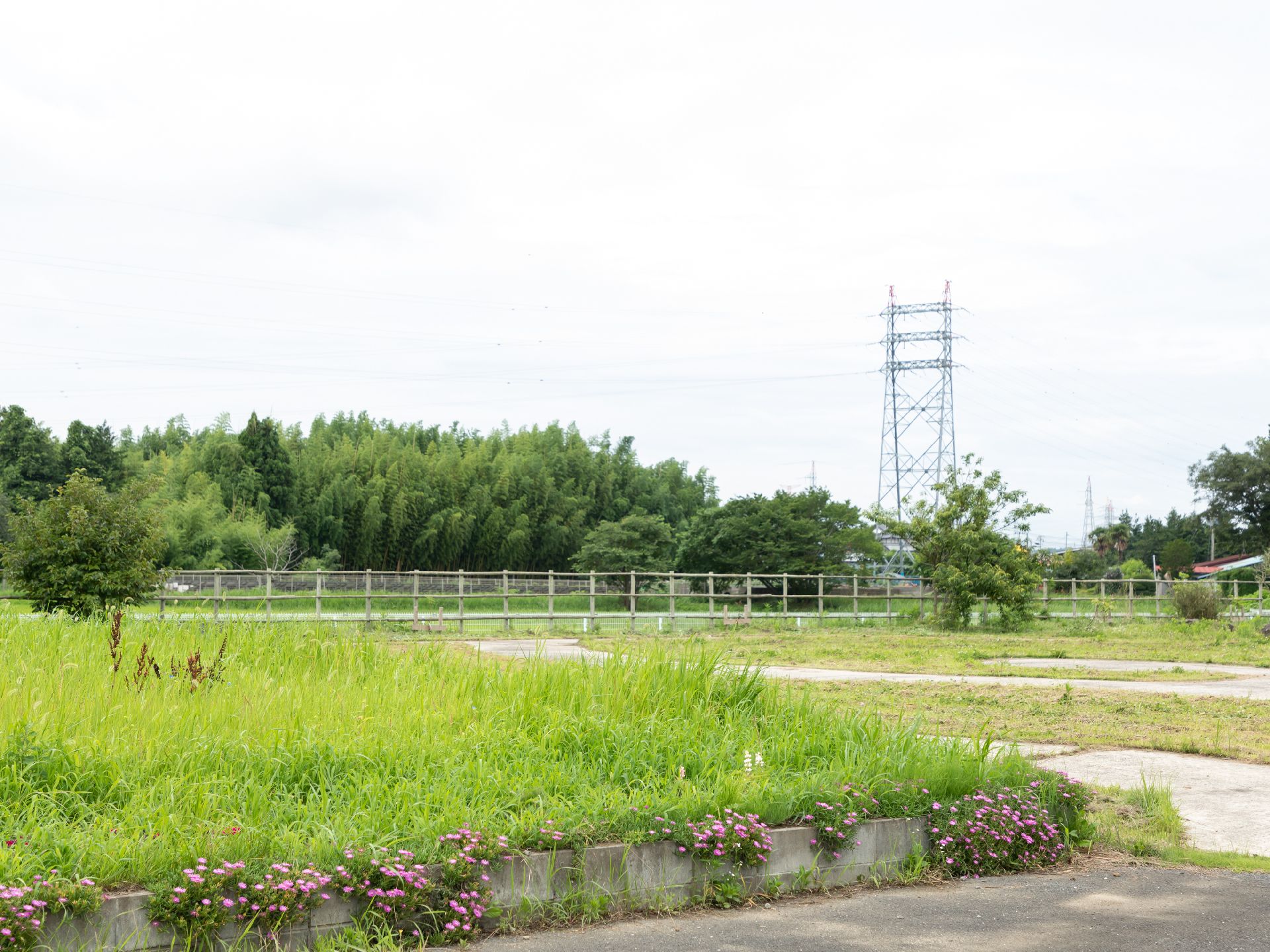 見渡すと自然が広がっている周辺環境