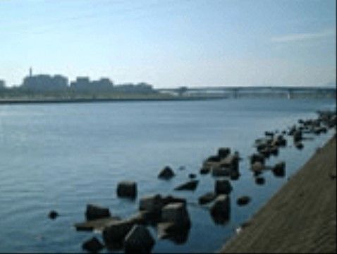 大きな橋のかかった川の写真。コンクリートブロックが点々と置かれている。対岸には工場のような建物が複数見える。