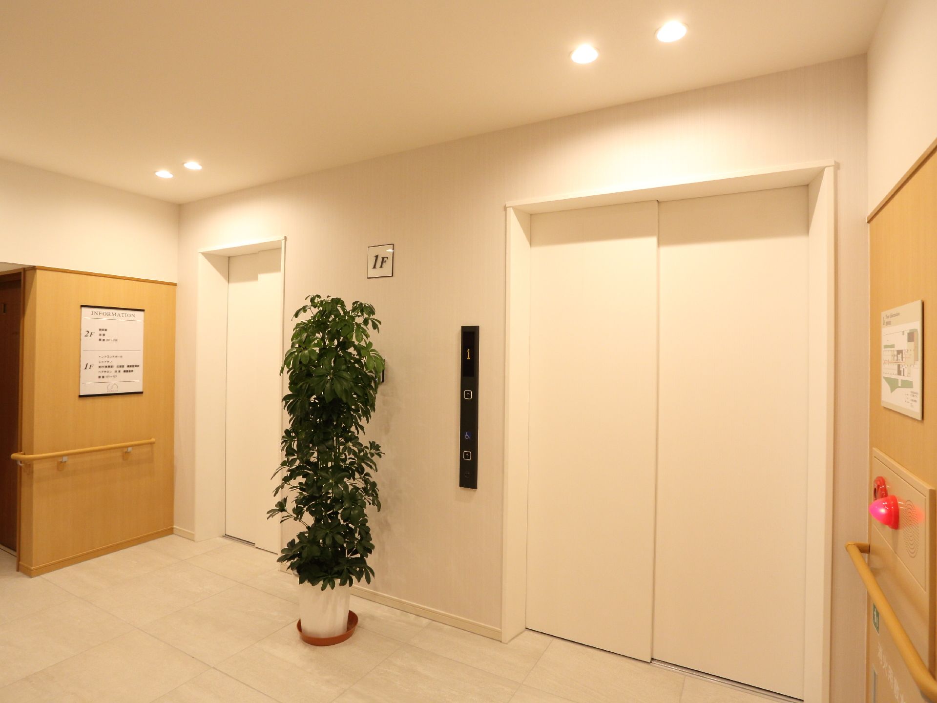エレベーターのあるエリアには観葉植物が置かれている。また両サイドには館内のマップと、1F、2Fの説明書きが貼られている。
