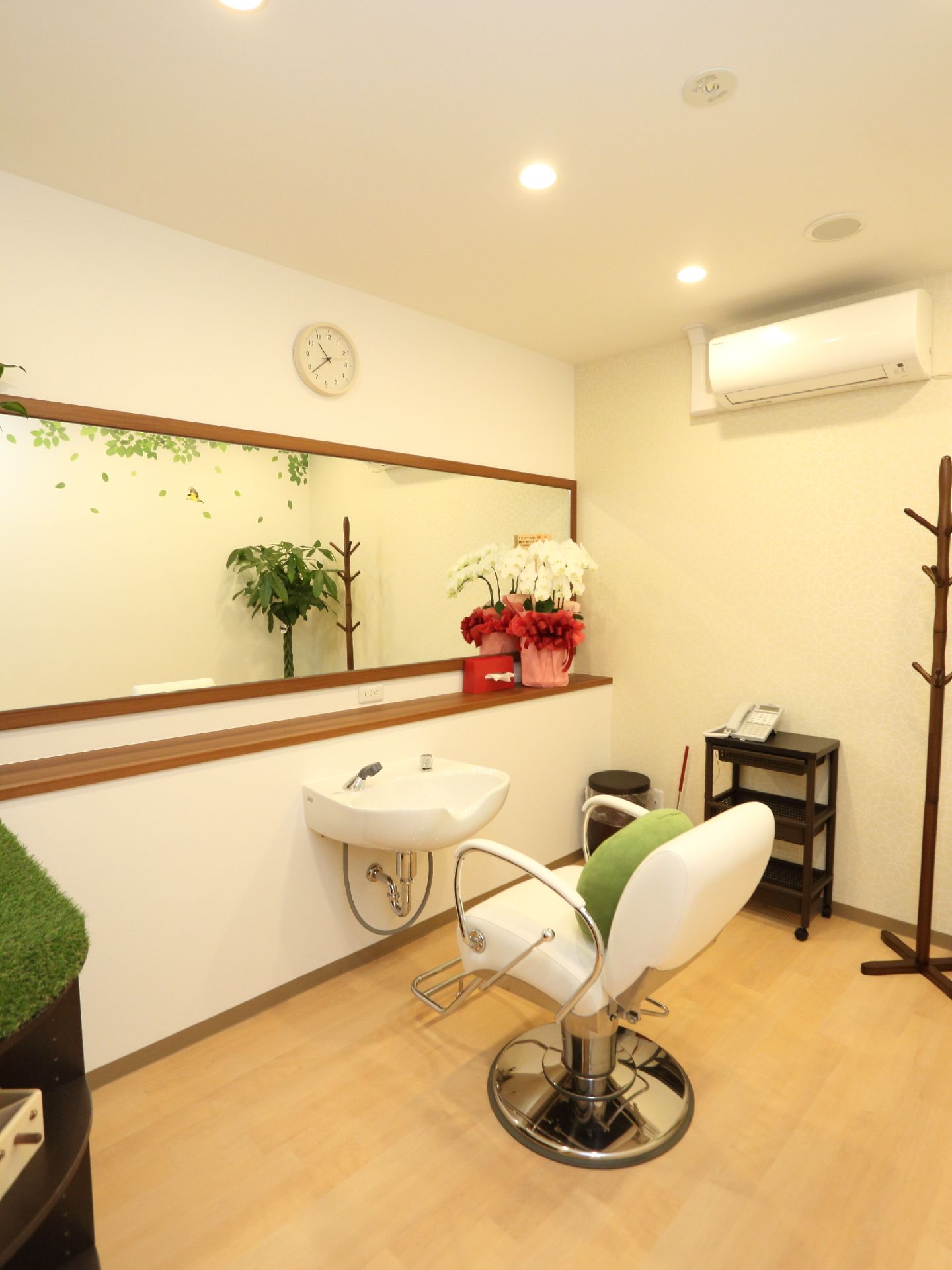 緑の多い部屋は全体的に広めでゆとりがあり、エアコンや明るめの電灯など、電気系統も数多く設置されている。