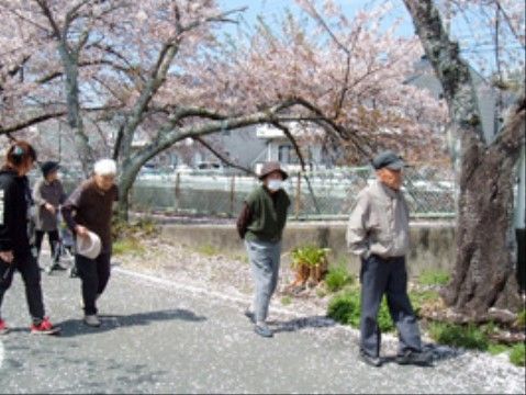 満開の桜の下を入居者様とスタッフが歩いている。積極的に外に出て、季節を感じられるレクリエーションも多数用意されている。