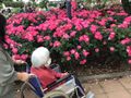 ケアサポートあげおの写真