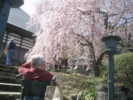 レクリエーション