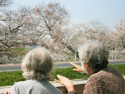 テラスからのお花見