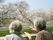 季節を感じられるよう、季節ごとのお花や観葉植物が施設内に飾られている。淡い色合いの桜の枝が飾られている。