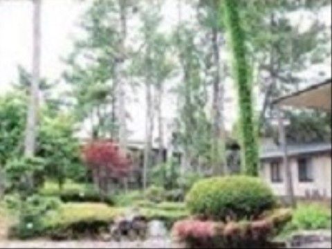 静かな緑の中庭