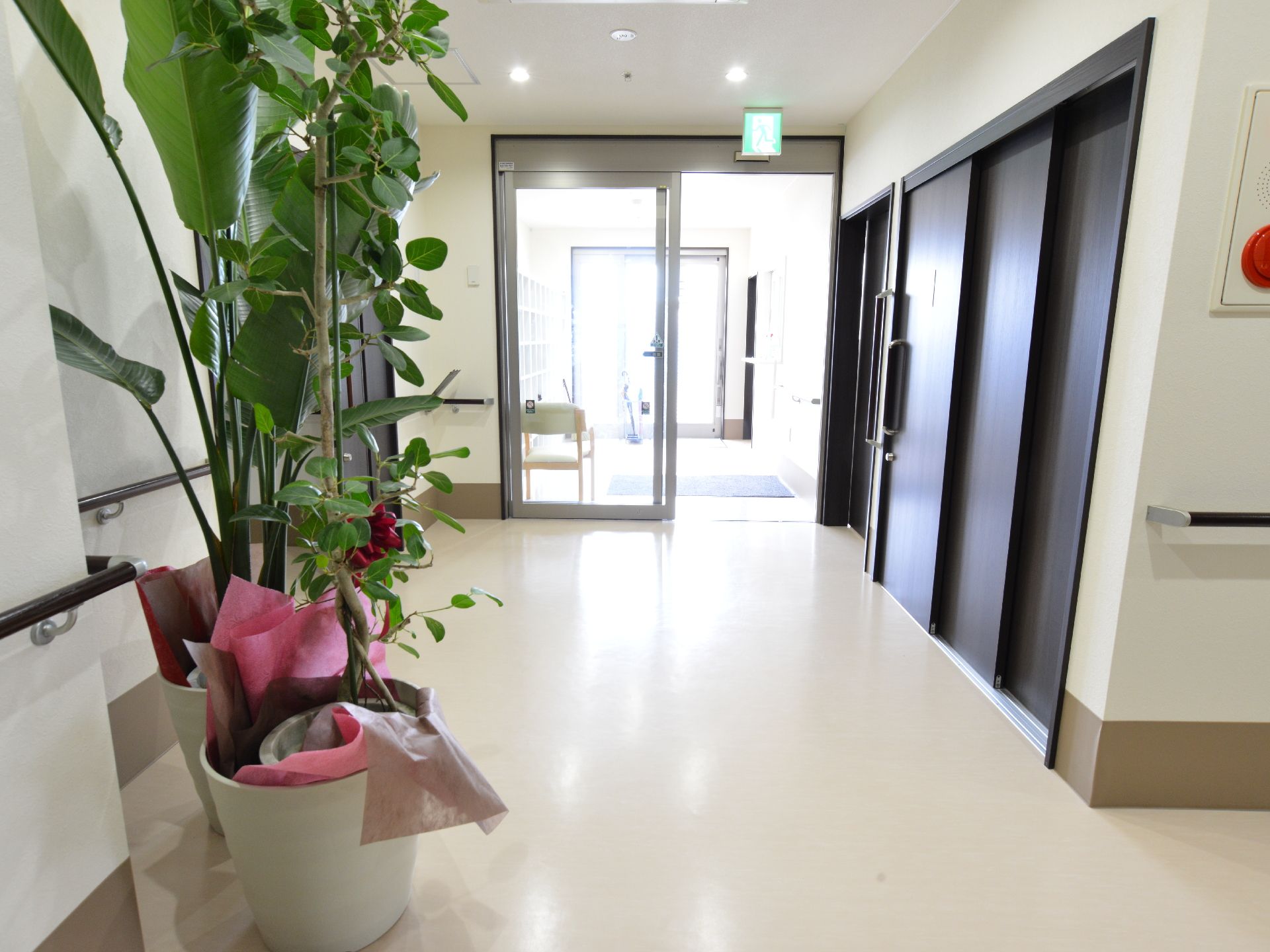 白い壁とベージュの床が明るい雰囲気のエントランス。玄関から続く広々としたフロアに観葉植物が置かれた開放的な空間。