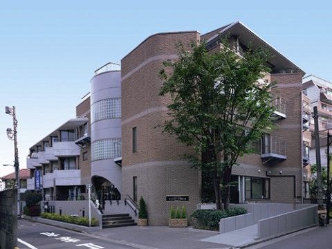 大きな樹木が脇に植えられ、広いスロープが設置された施設