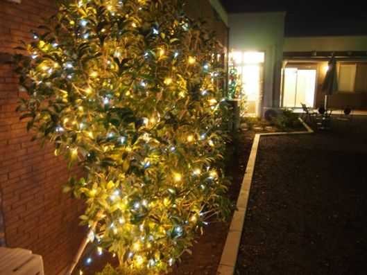 イルミネーション