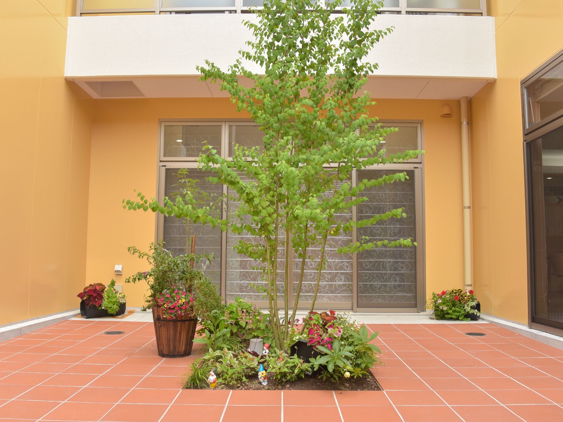 植物が植えられている。緑がたくさんで癒やしの空間となっている。床のタイルがとてもオシャレで、室内から見て楽しむことができる。