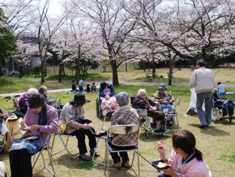 桜の季節、パイプ椅子に座って花見を楽しむ高齢者たち