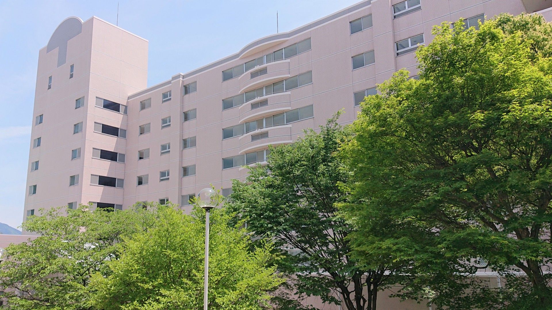 緑に囲まれた明るい外観