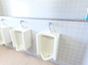 清潔感のある明るいトイレ空間