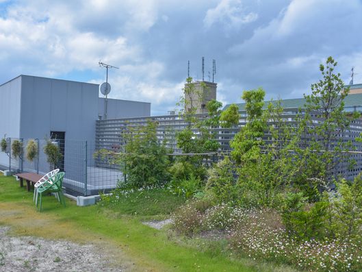 屋上