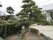 居室からは、印象的な松の木が植えられた、整備された中庭が見える。当施設のシンボル的存在となっている。
