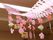 桜の飾り付け空間