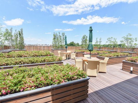 日当たりの良いコテージ