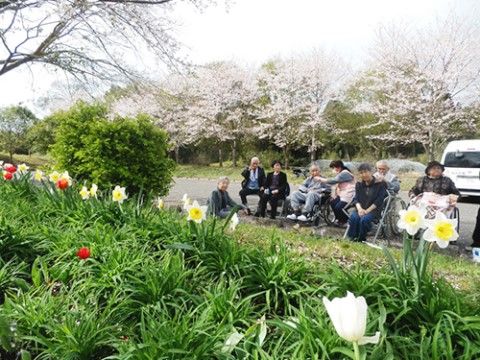 満開の桜やチューリップ、水仙の花を楽しんでいるご入居様とサポートスタッフ