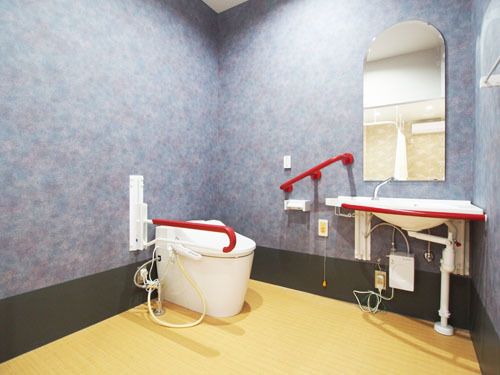 トイレには温水洗浄便座が設置され、周囲には赤色の手すりが設けられている。広いスペースに洗面台も設置されている。