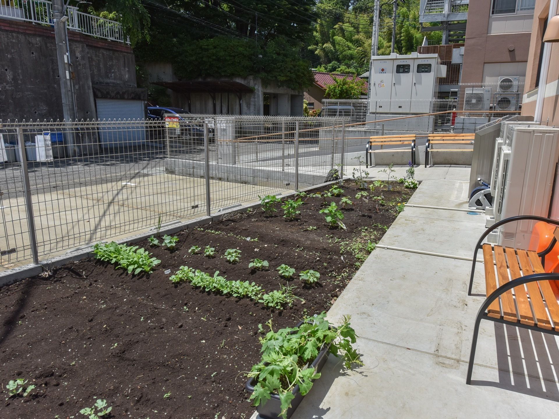 敷地内にて家庭菜園を行なっている。数種類の野菜を植えており、日当たりが良くスクスクと育っている。そばにはベンチが置いてある。