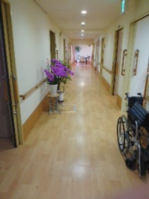 廊下