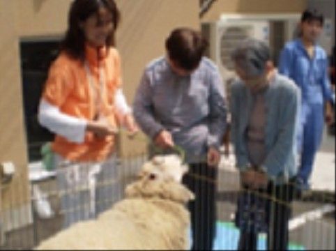 スタッフに付き添われながら動物との触れ合いを楽しむ高齢者様