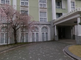 桜が咲く介護施設の庭園