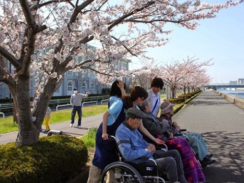 桜並木と散策する人々