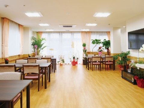 明るく開放感のあるリビング。そして色とりどりの観葉植物も配置されており、入居者様をリラックスさせる。