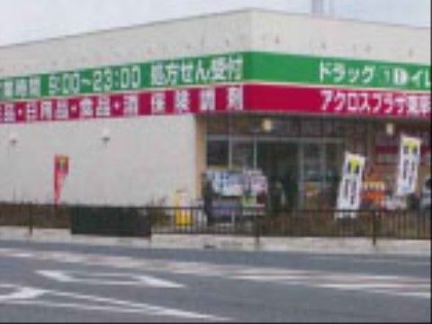 平屋建てのドラッグストアで、店舗前にはのぼりが立っている。営業時間は9時～23時で、処方箋受付のほか、食品や日用品も販売している。