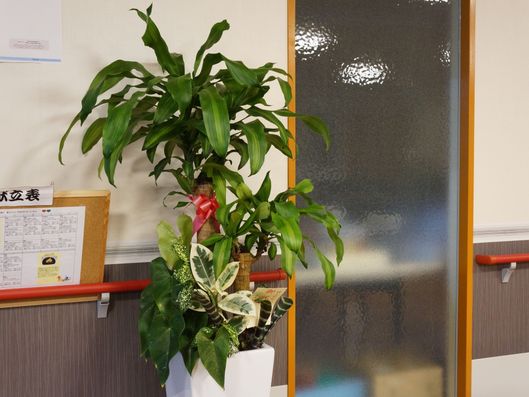 スライドショー