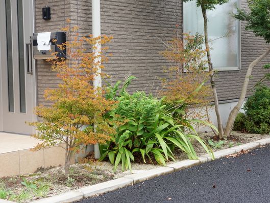 植栽