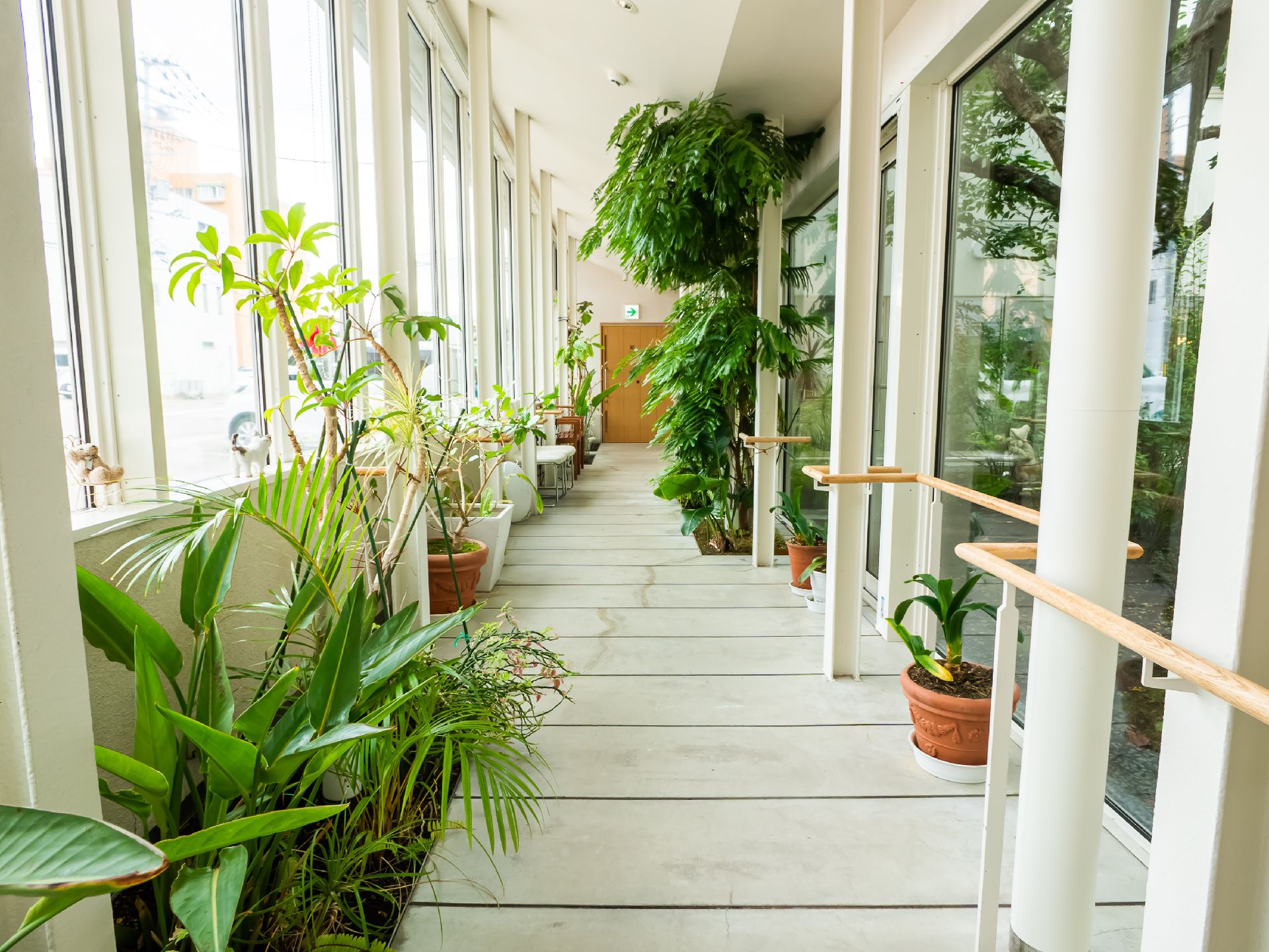 手すりが設置され、木や花が植えられている施設の中庭