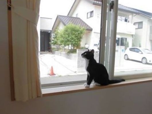 窓