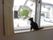 部屋の外には閑静な住宅街が立ち並び、窓辺に佇む猫も穏やかに生活している。壁を白にして、光を上手く取り込んでいる。