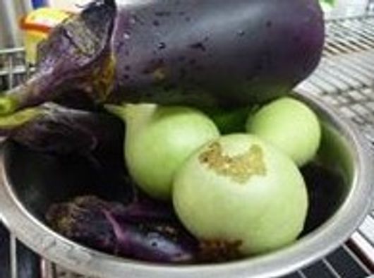野菜