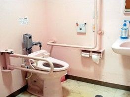 トイレにはコンパクトな手洗い用の洗面ボウルが設置されている。L字型の手すりの近くにはナースコールがある。