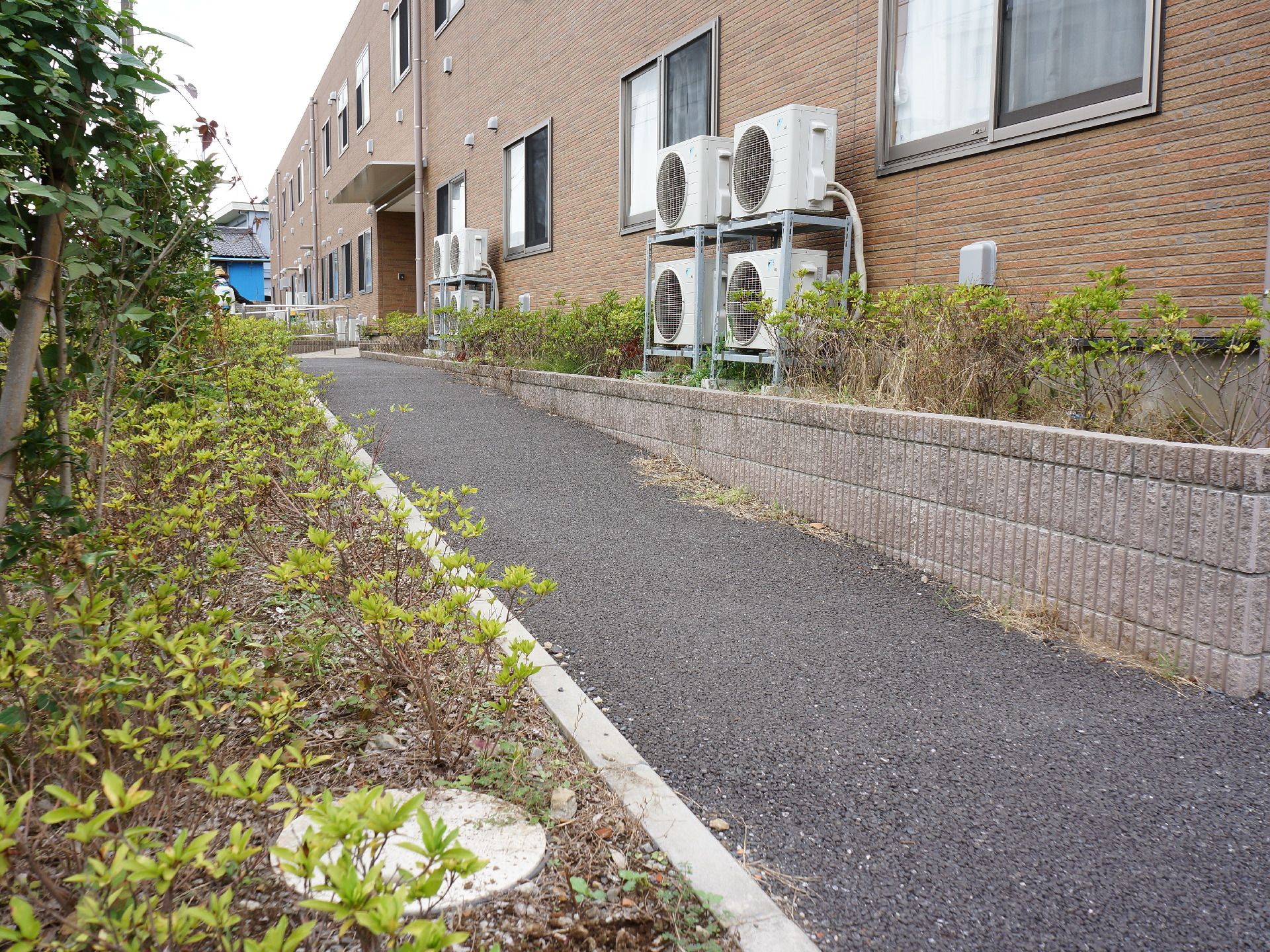 エントランスの垣根には針葉樹や、さまざまな草木が植えられている。またエアコンの室外機なども置かれている。