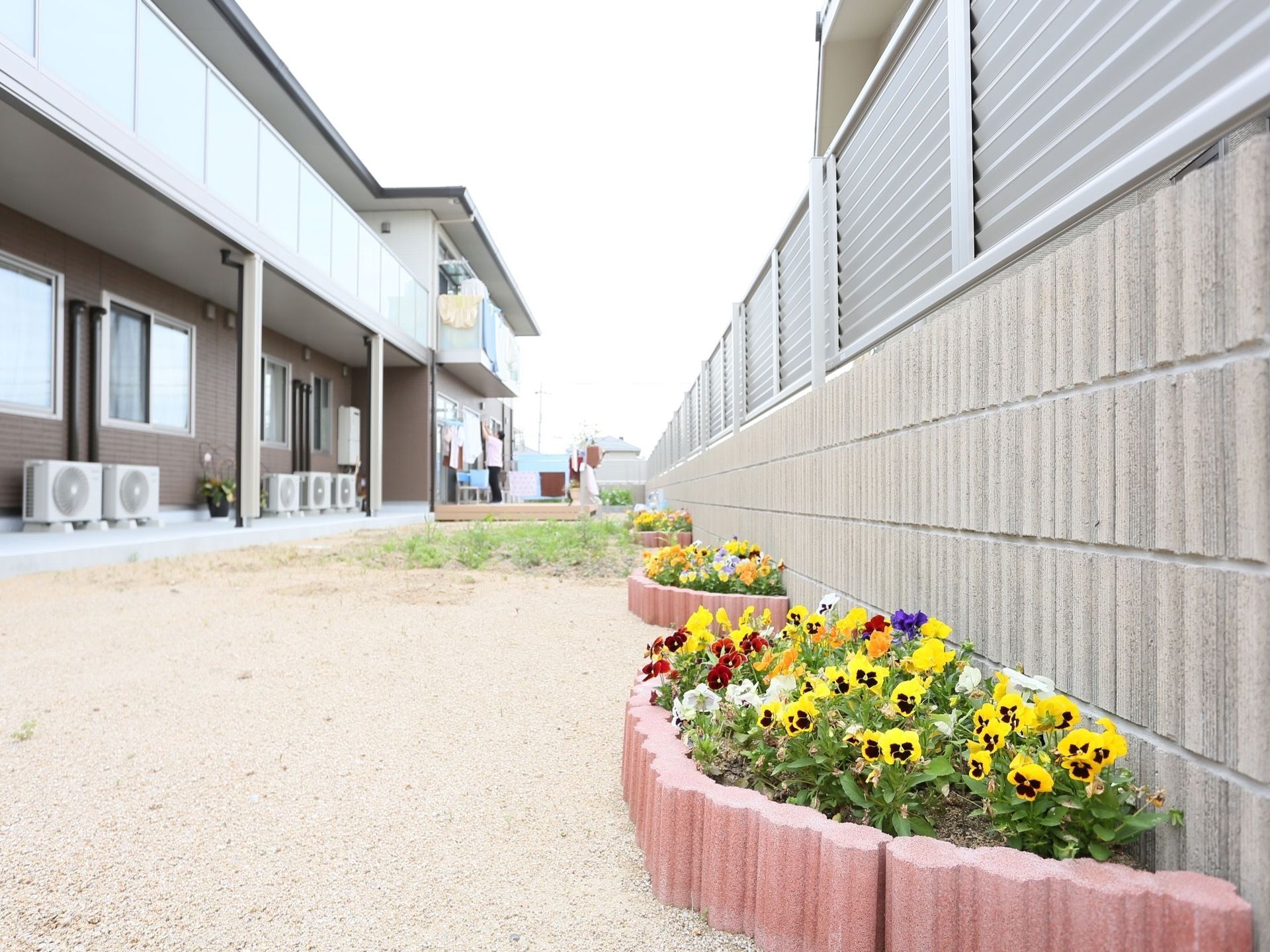 パンジーが植えられている花壇のある、ホームの広い庭