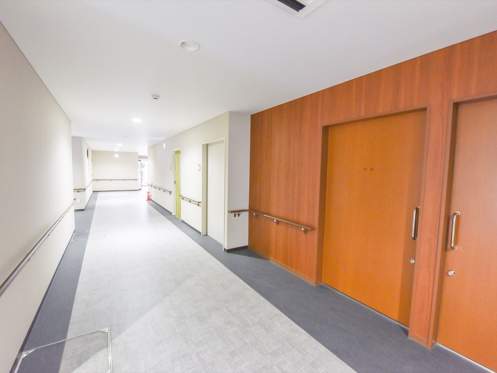 通路は、道幅が広く床もカーペットになっている。手すりはしっかり両サイドについており、部屋つながる扉も引き戸である。