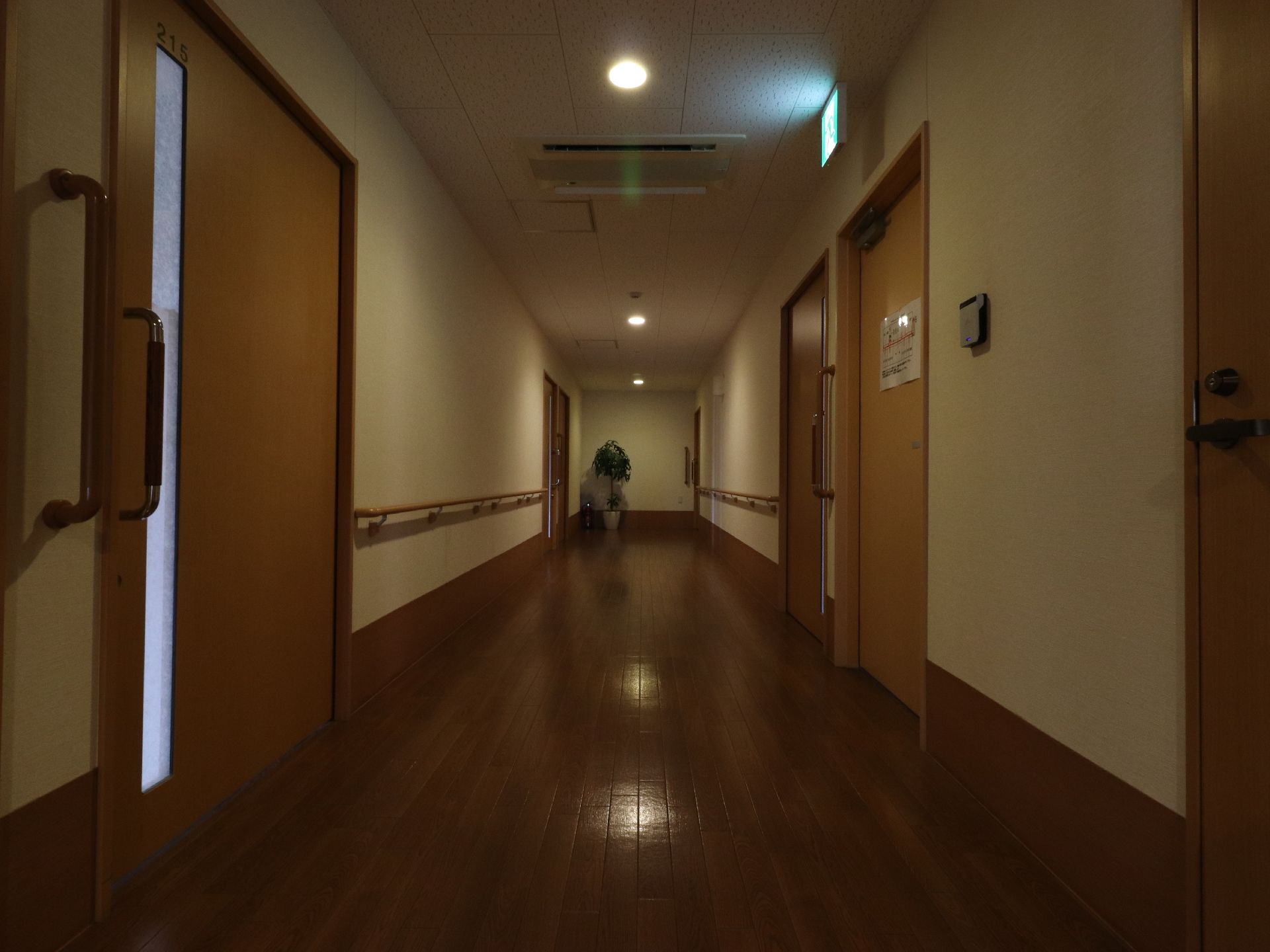 広い廊下の突き当りには、観葉植物が置かれている。扉の横や両側の壁には、縦や横の手すりが設置されている。